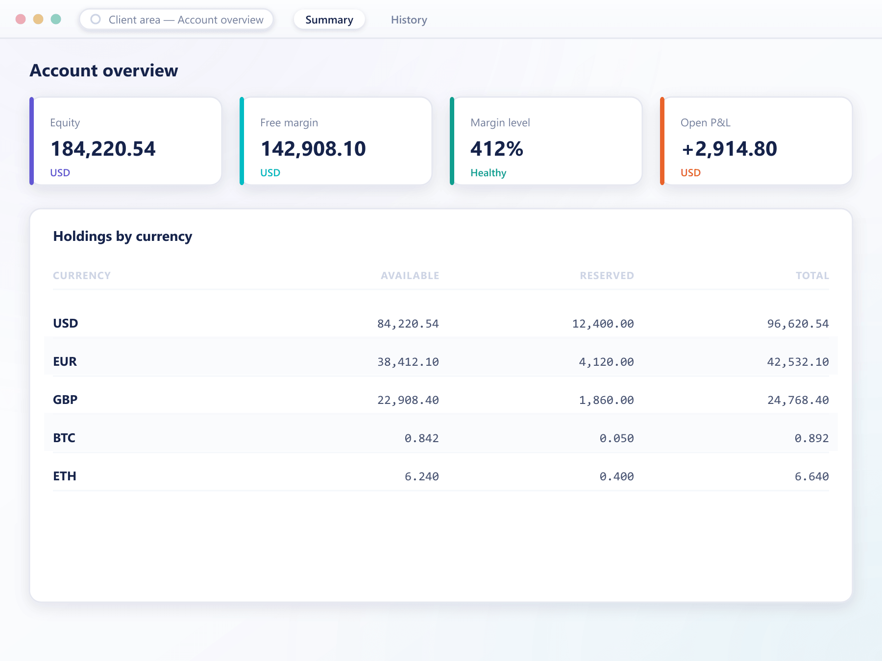 Client account overview with equity, free margin and holdings by currency